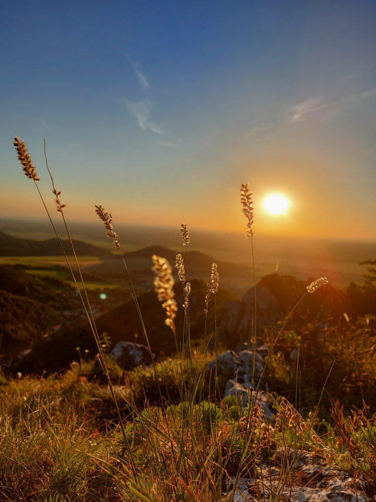 Kršlenica