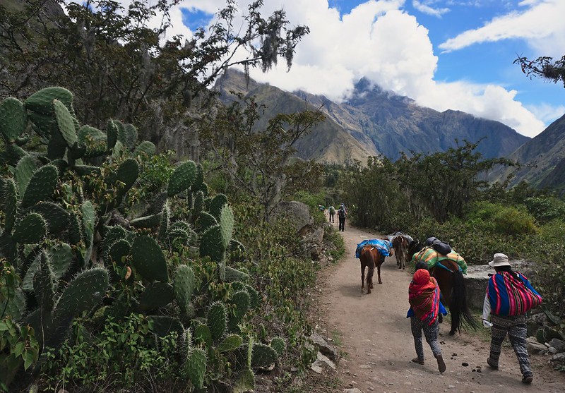 Inca trail smerujúce pod Machu Picchu.