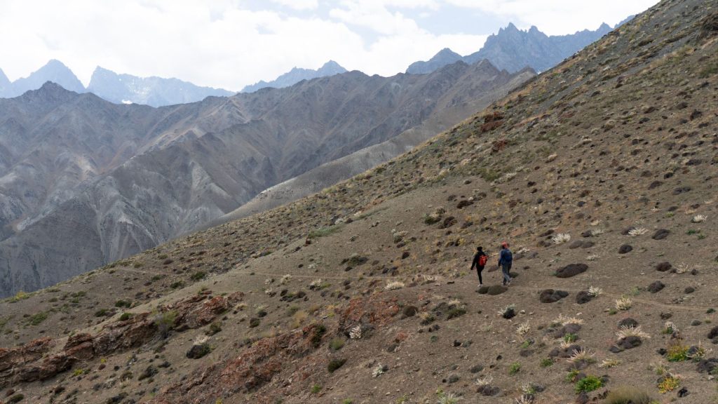 Horami severnej Indie v oblasti Ladakh.