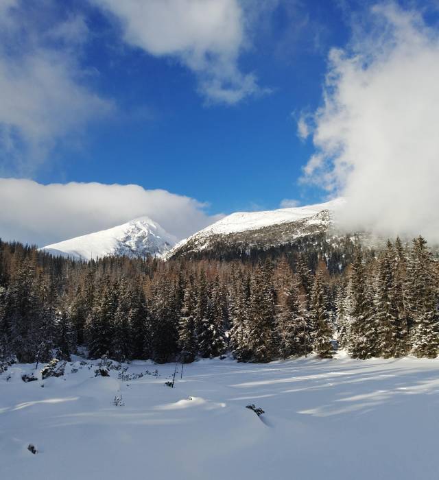 Jamské pleso