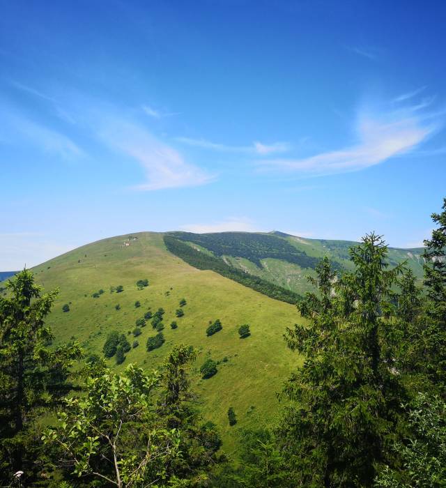 Krížna