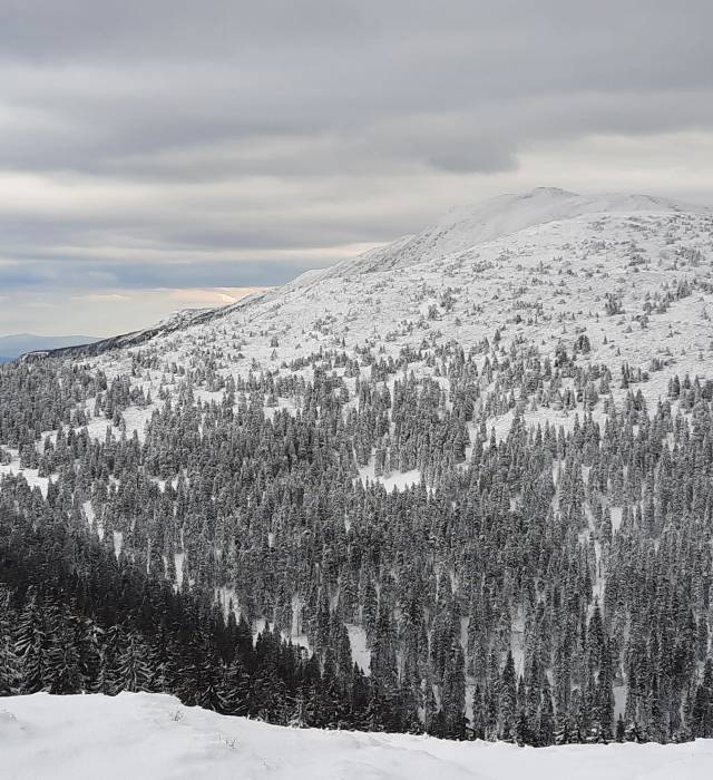 Malá Babia hora