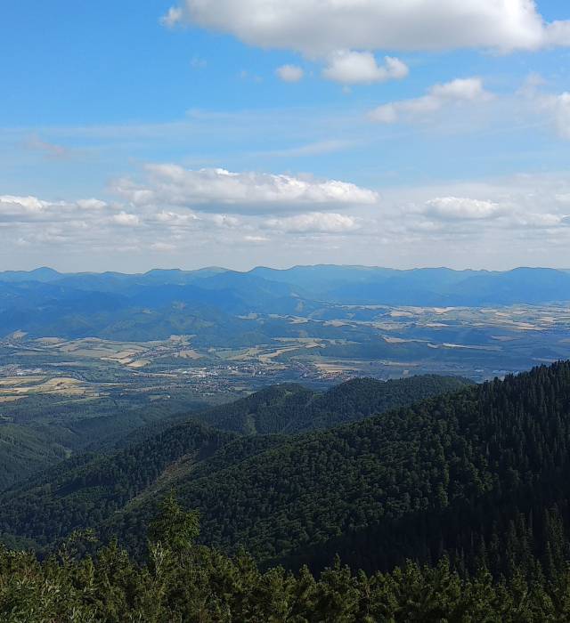 Suchý