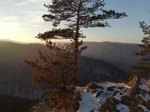 Matka Božia